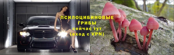 амф Алексеевка