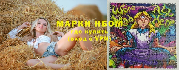 молекула духа Алексин