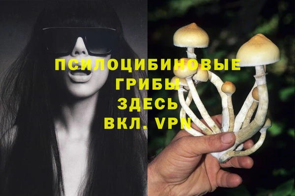 кокаин колумбия Алзамай