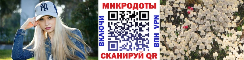 Псилоцибиновые грибы Magic Shrooms  сайты даркнета какой сайт  Курган 